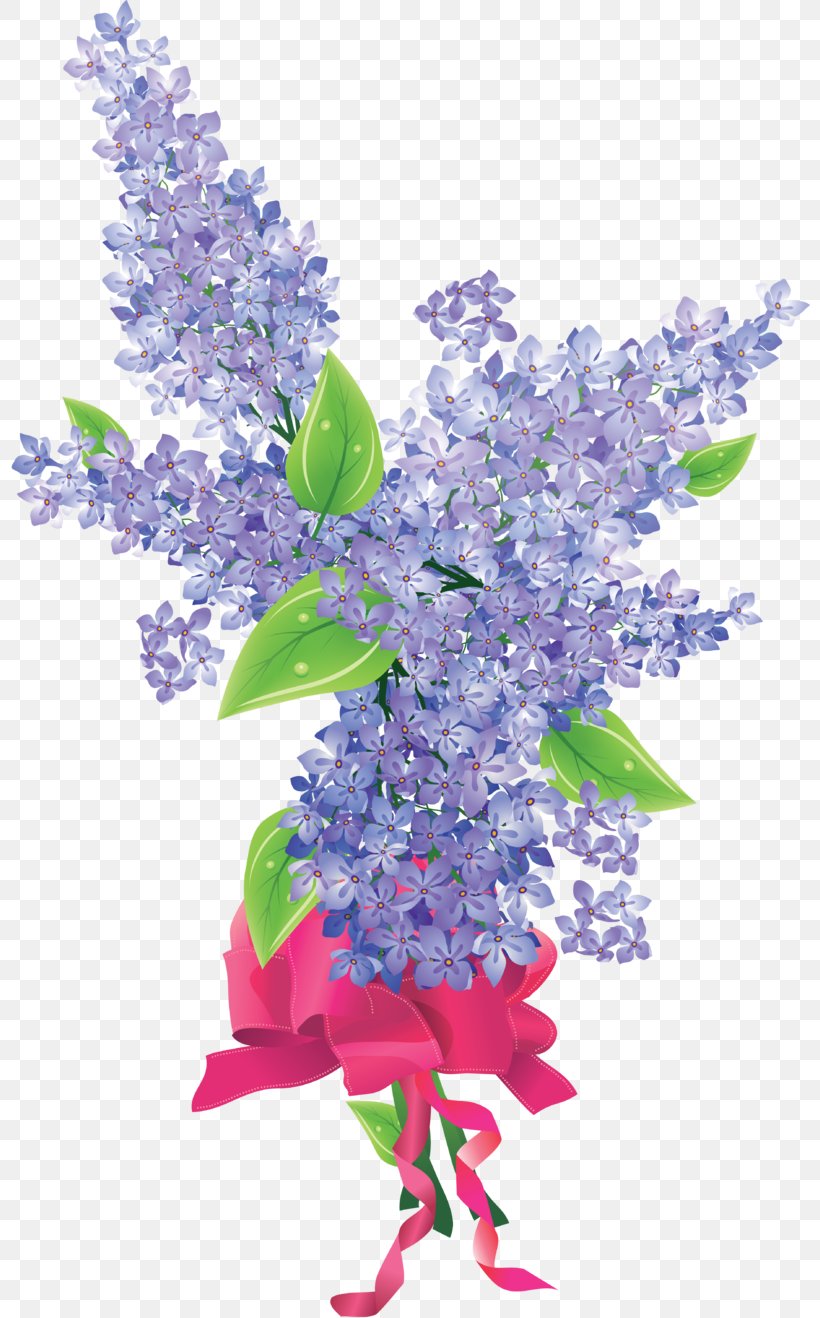 Lilac Drawing Clip Art, PNG, 800x1318px, Lilac, Branch, Drawing, Flower, Flowering Plant Download Free