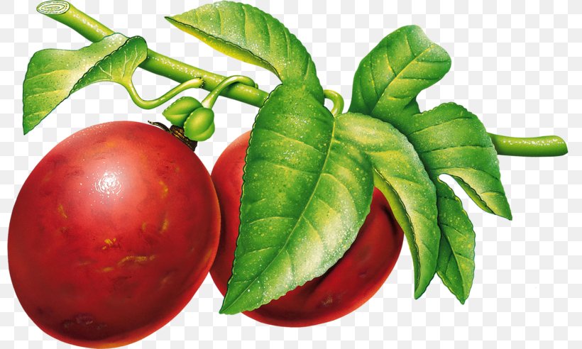 Plum Clip Art Image Transparency, PNG, 800x492px, Plum, Beet, Bush Tomato, Diet Food, Display Resolution Download Free
