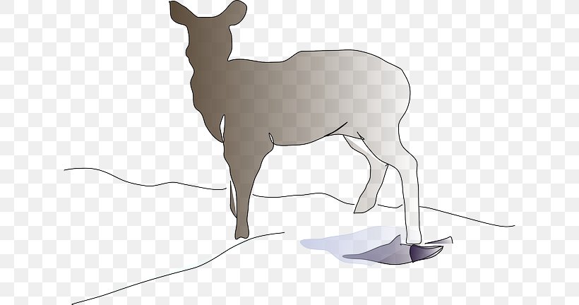 White-tailed Deer Mammal Clip Art Reindeer, PNG, 640x432px, Deer, Animal, Antelope, Antler, Cattle Like Mammal Download Free
