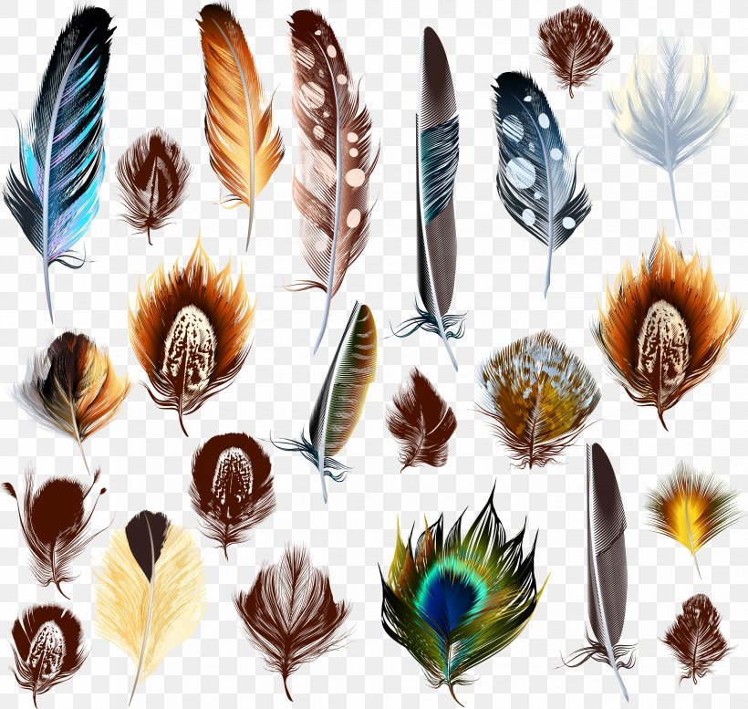 Bird Feather Euclidean Vector, PNG, 3299x3129px, Bird, Drawing, Feather, Flower, Gradient Download Free