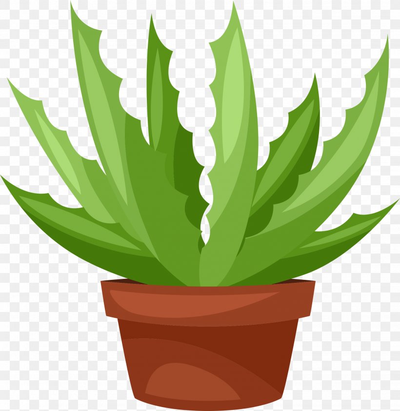 Clip Art Succulent Plant Cactus Vector Graphics Illustration, PNG, 1945x2000px, Succulent Plant, Aloe, Cactus, Flowering Plant, Flowerpot Download Free