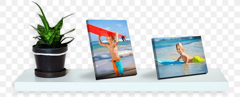 Display Advertising Let's Dance Plastic, PNG, 756x334px, Display Advertising, Advertising, Nvidia Quadro, Plastic Download Free