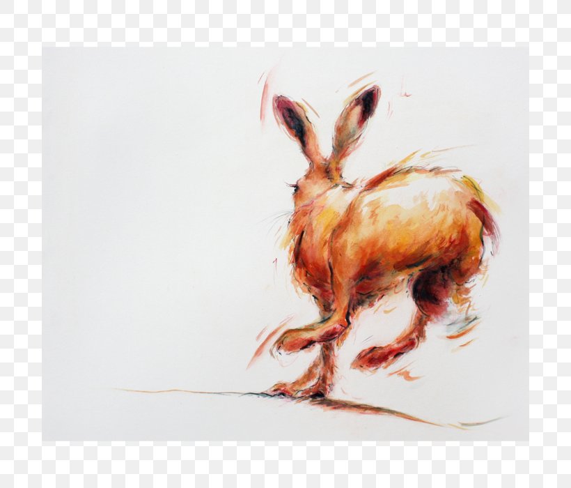 Hare Painting Fauna, PNG, 700x700px, Hare, Art, Drawing, Fauna, Painting Download Free