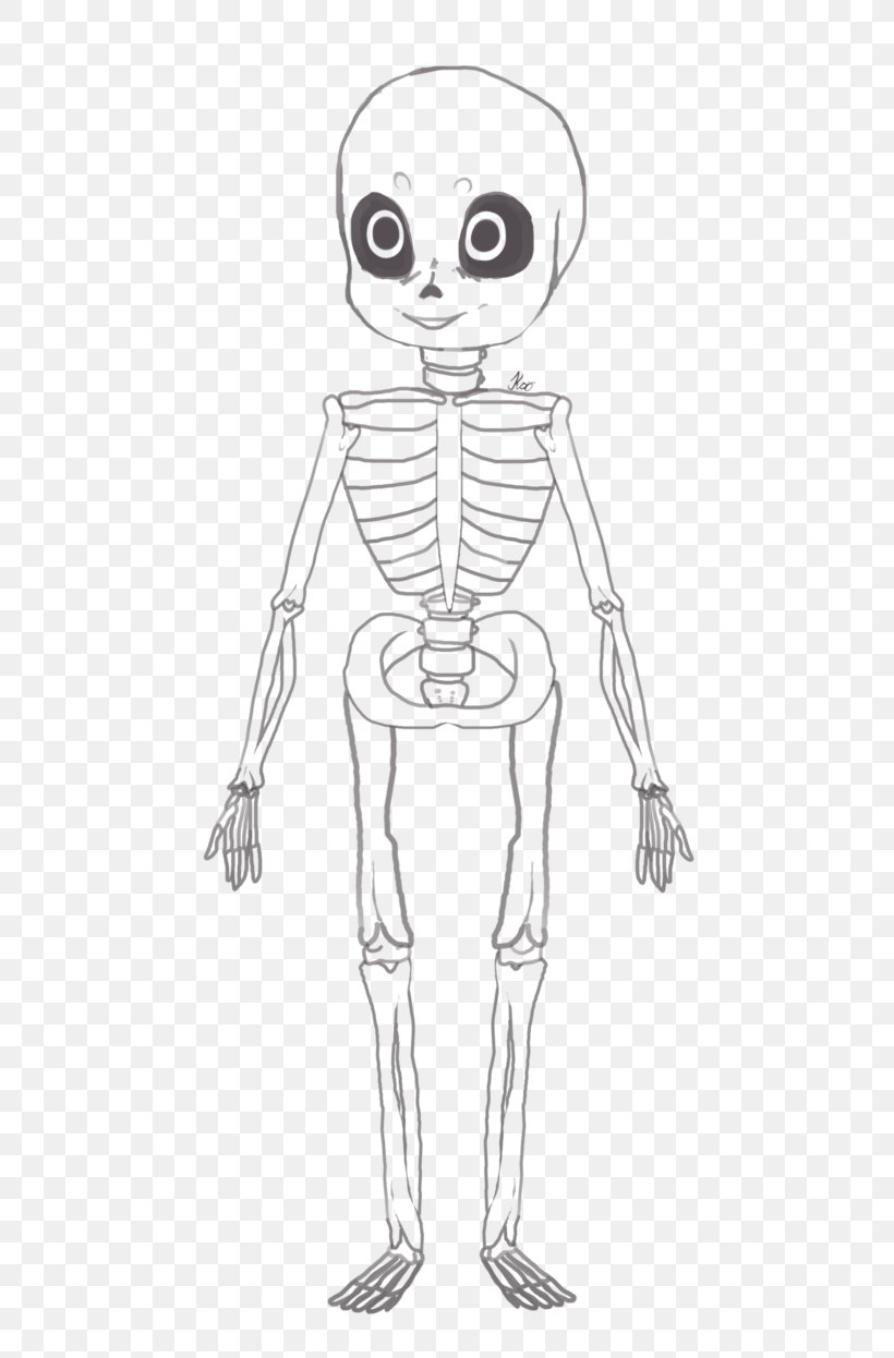 Human Skeleton Drawing Sketch, PNG, 641x1246px, Watercolor, Cartoon, Flower, Frame, Heart Download Free