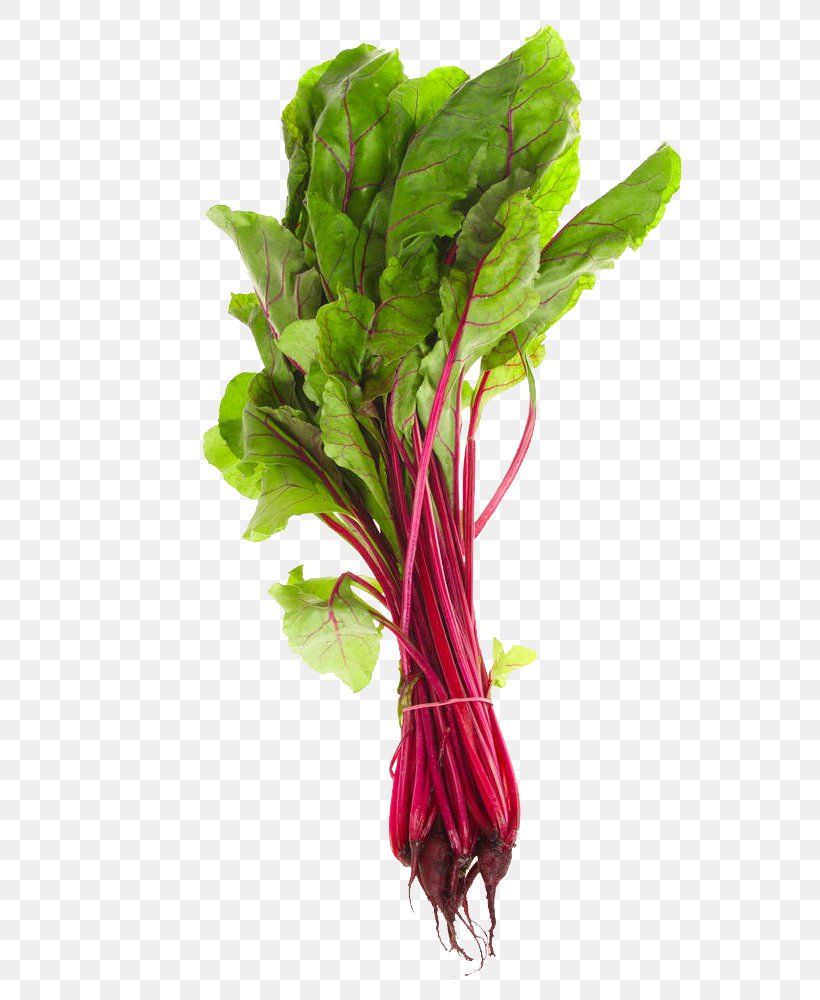 Paleolithic Diet Calcium Eating Food, PNG, 666x1000px, Paleolithic Diet, Beet, Beetroot, Calcium, Calcium Citrate Download Free