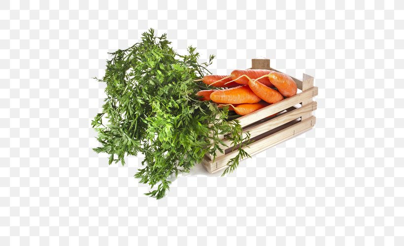 Carrot Vegetable Vegetarian Cuisine Fruit Food, PNG, 500x500px, Carrot, Broth, Cucumber, Eintopf, Food Download Free