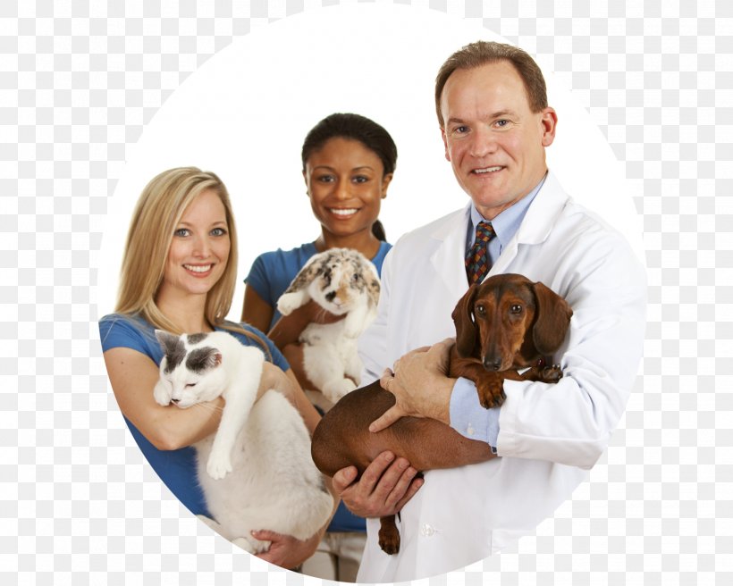 Cat Veterinarian Pet Labrador Retriever Veterinary Medicine, PNG, 1548x1240px, Cat, Carnivoran, Companion Dog, Dog, Dog Breed Download Free