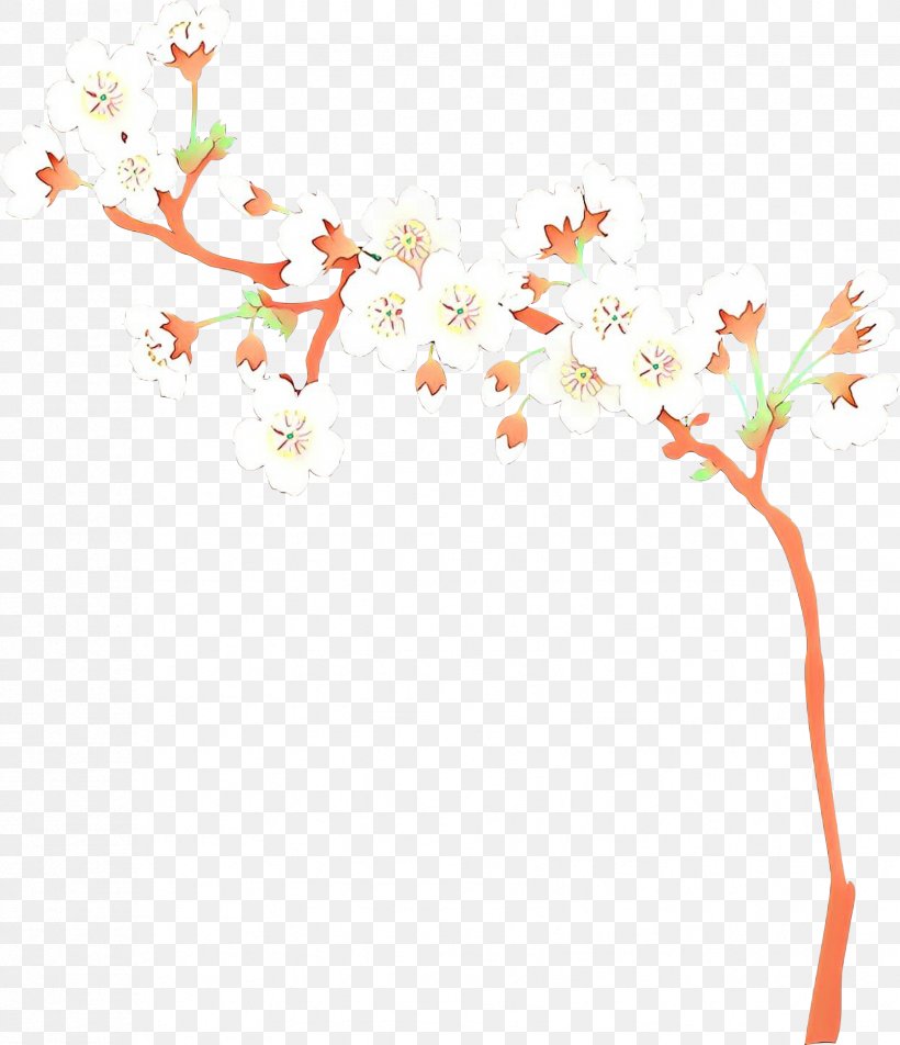 Cherry Blossom Background, PNG, 1677x1949px, Cartoon, Blossom, Botany, Branch, Cerasus Download Free