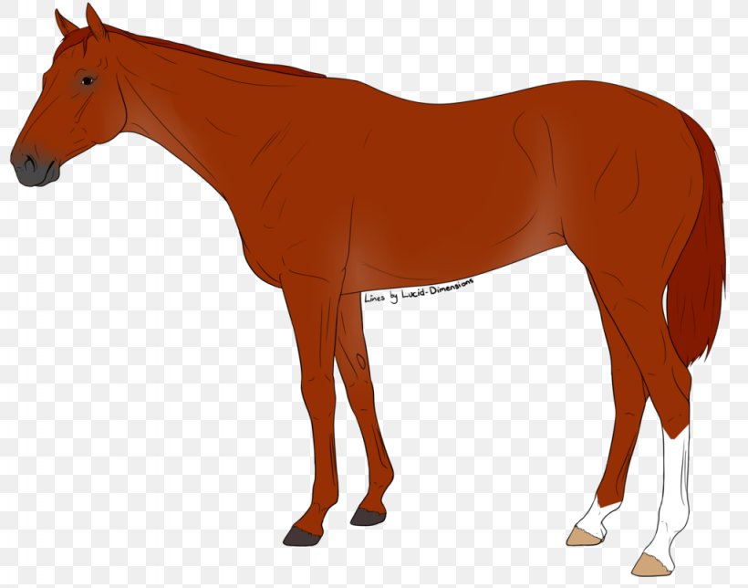 Mule Pony Mustang Foal Stallion, PNG, 1024x805px, Mule, Animal Figure, Bridle, Colt, Drawing Download Free