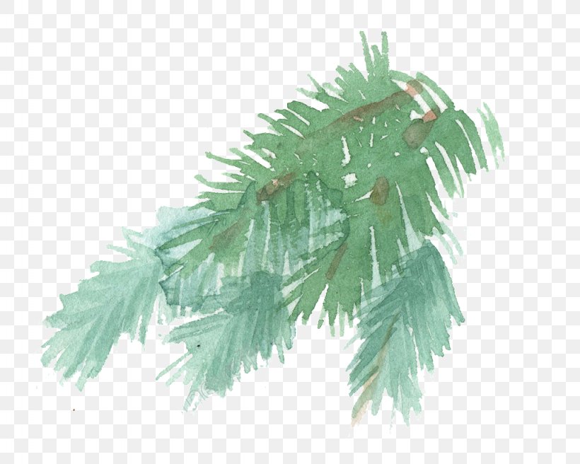 Fir Pine Watercolor Painting Leaf Image, PNG, 1024x820px, Fir, Animation, Branch, Conifer, Leaf Download Free