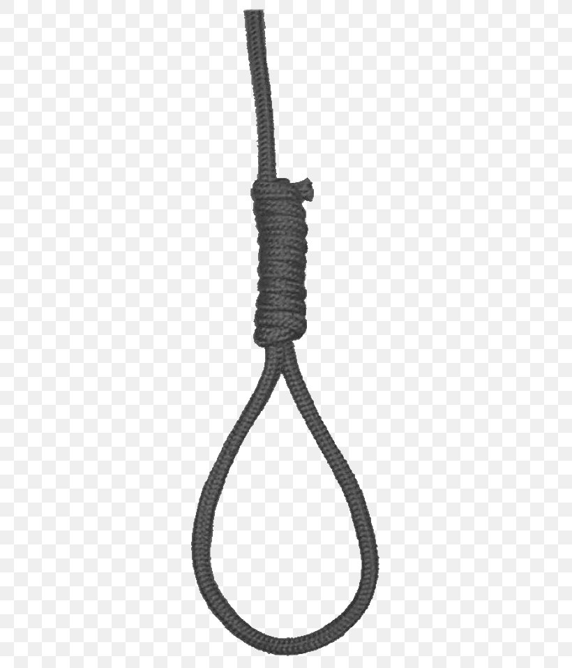 Hangman's Knot Noose Rope Clip Art, PNG, 300x957px, Noose, Black, Black And White, Capital Punishment, Hanging Download Free