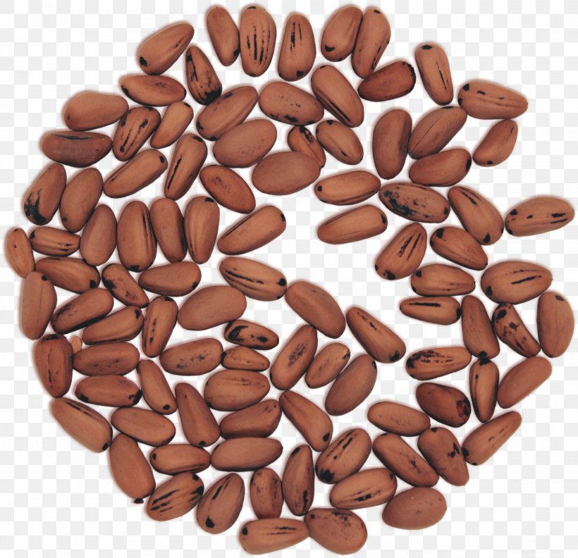 Jamaican Blue Mountain Coffee Nut Seed Bean Ingredient, PNG, 2300x2224px, Jamaican Blue Mountain Coffee, Bean, Cocoa Bean, Commodity, Ingredient Download Free