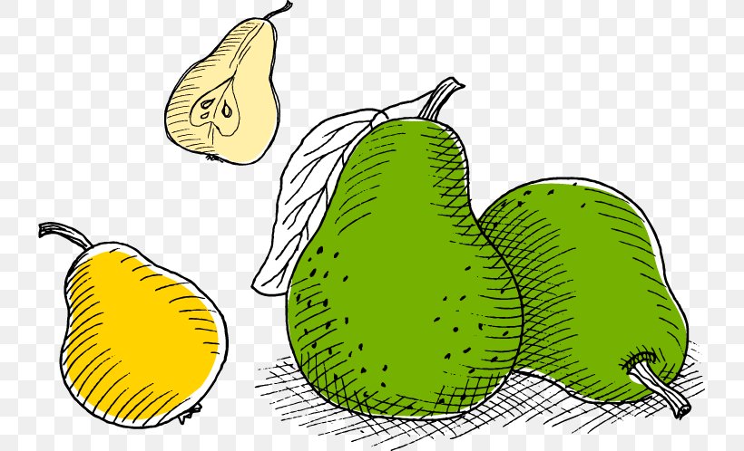 Juice Pyrus Nivalis European Pear Auglis Fruit, PNG, 735x498px, Juice, Auglis, Cartoon, European Pear, Food Download Free