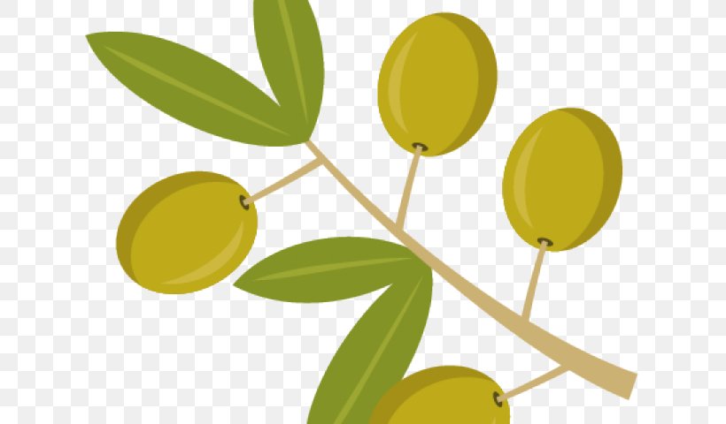 Olive Leaf Yellow Plant Tree, PNG, 640x480px, Olive, Branch, Flower, Flowering Plant, Fruit Download Free