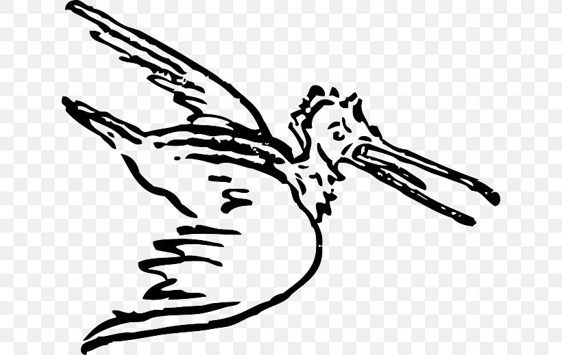 Pelican Bird Goose Cygnini Clip Art, PNG, 640x519px, Pelican, Beak, Bird, Bird Flight, Bird Food Download Free