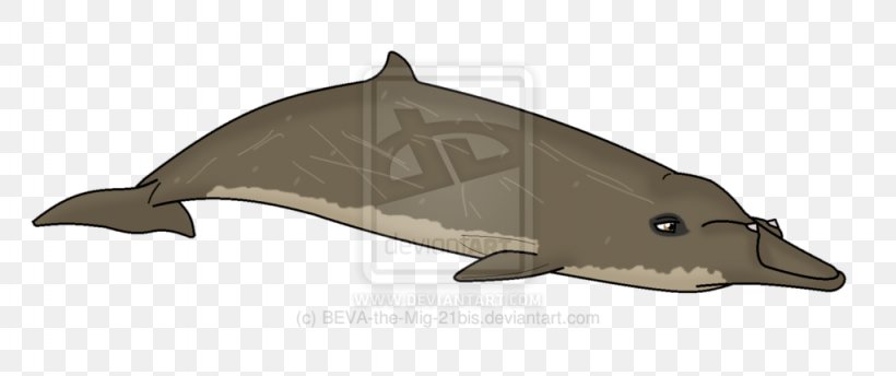 Porpoise Dolphin Blainville's Beaked Whale Spade-toothed Whale Cetaceans, PNG, 1024x430px, Porpoise, Animal, Animal Figure, Basilosaurus, Beak Download Free