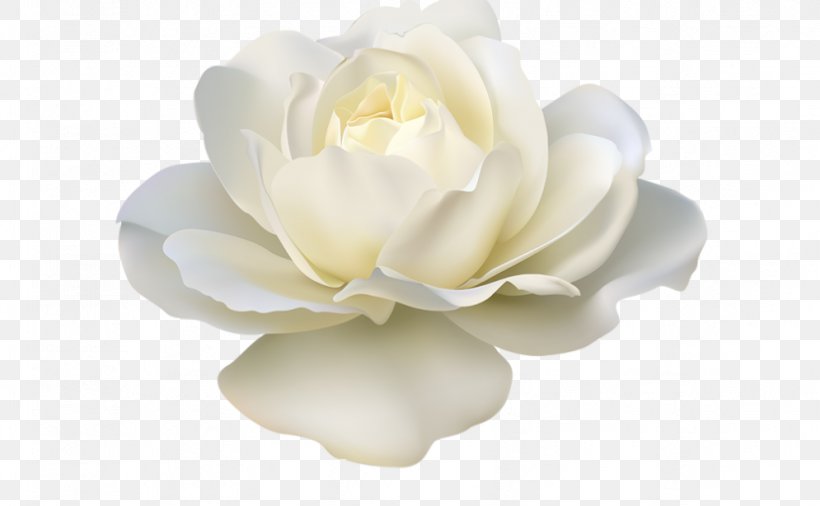Rose White Artificial Flower Clip Art, PNG, 825x510px, Rose, Artificial Flower, Botanical Illustration, Cut Flowers, Flower Download Free