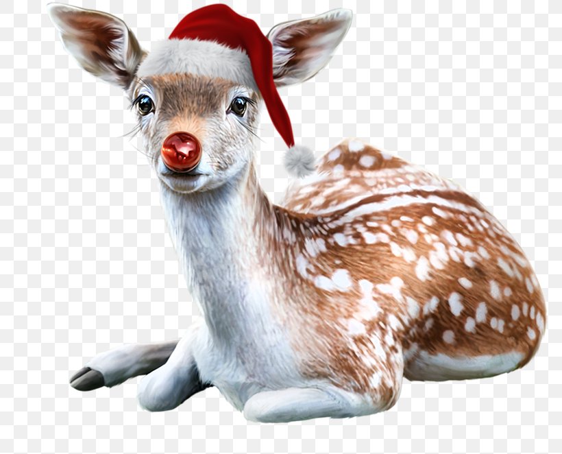 Santa Claus's Reindeer Santa Claus's Reindeer Christmas Clip Art, PNG, 800x662px, Reindeer, Animal, Christmas, Deer, Dog Download Free