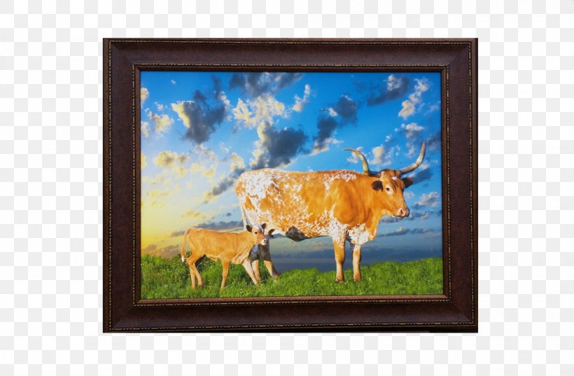 Texas Longhorn English Longhorn Calf Stock Photography, PNG, 1000x655px, Texas Longhorn, Calf, Cattle, Cattle Like Mammal, Dairy Cattle Download Free
