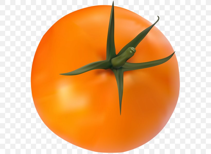 Tomato Vegetable Clip Art, PNG, 589x600px, 2018, Tomato, Calabaza, Cucumber, Food Download Free