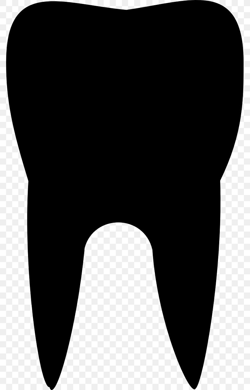Tooth Brushing Molar Clip Art, PNG, 779x1280px, Tooth, Black, Black And White, Canine Tooth, Dentistry Download Free