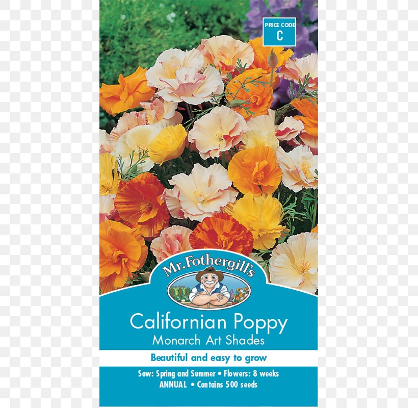 California Poppy Seed Flower Annual Plant, PNG, 800x800px, California Poppy, Annual Plant, Artikel, Cut Flowers, Eschscholzia Download Free