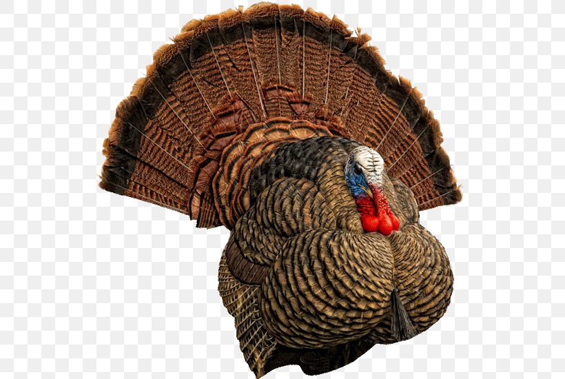 Decoy Hunting Turkey Meat Dick's Sporting Goods Field & Stream, PNG, 550x550px, Decoy, Beak, Domesticated Turkey, Duck, Duck Decoy Download Free