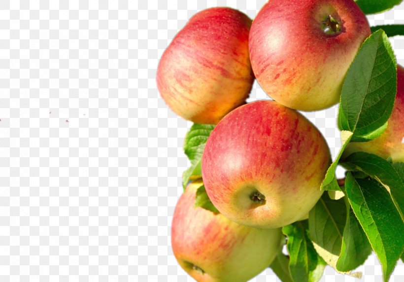 Juice Apple Fruit Tree Fuji, PNG, 912x639px, Juice, Apple, Diet Food, Food, Fruit Download Free