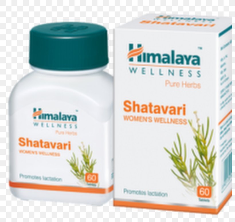 Shatavari The Himalaya Drug Company Tablet Ayurveda Health Care, PNG, 800x775px, Shatavari, Ayurveda, Capsule, Health, Health Care Download Free