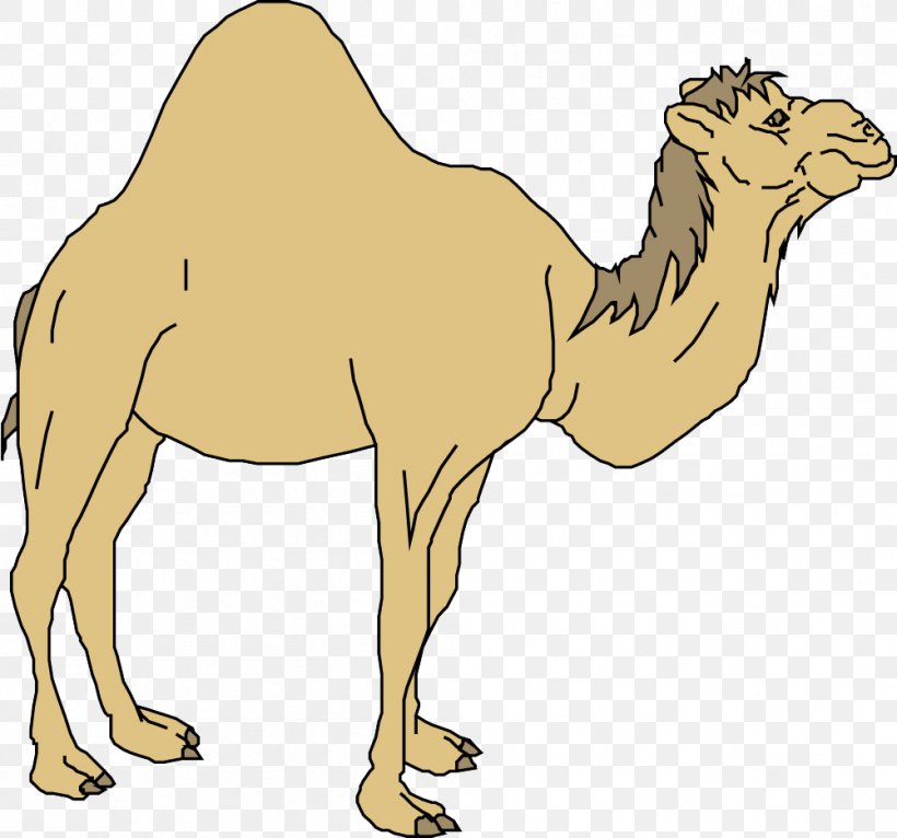 Dromedary Horse Cartoon, PNG, 1001x936px, Dromedary, Animal, Arabian Camel, Avatar, Camel Download Free