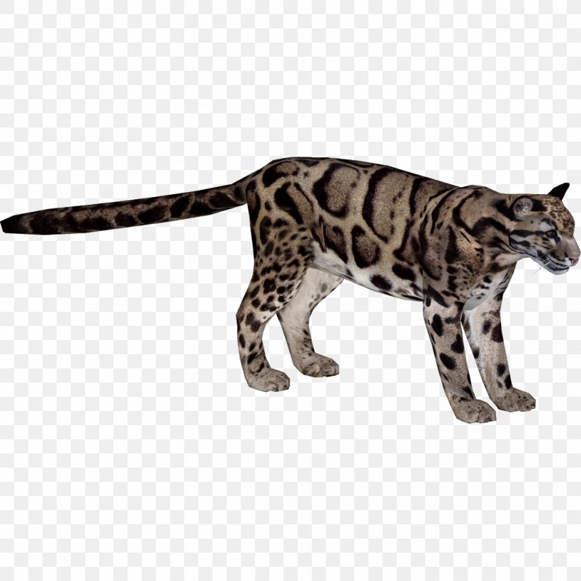 Felidae Indian Leopard Formosan Clouded Leopard Wildcat Lion, PNG, 1053x1053px, Felidae, Animal, Animal Figure, Big Cat, Big Cats Download Free