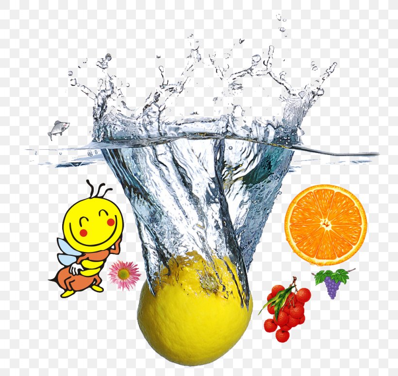 Juice Lemon Carbonated Water Distilled Water, PNG, 1024x970px, Juice, Carbonated Water, Citrus, Distilled Water, Food Download Free
