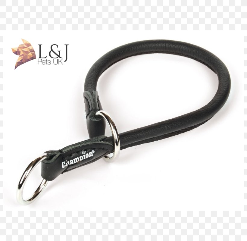 Leash Collar Leather Skin Champion, PNG, 800x800px, Leash, Animal, Champion, Collar, Computer Hardware Download Free