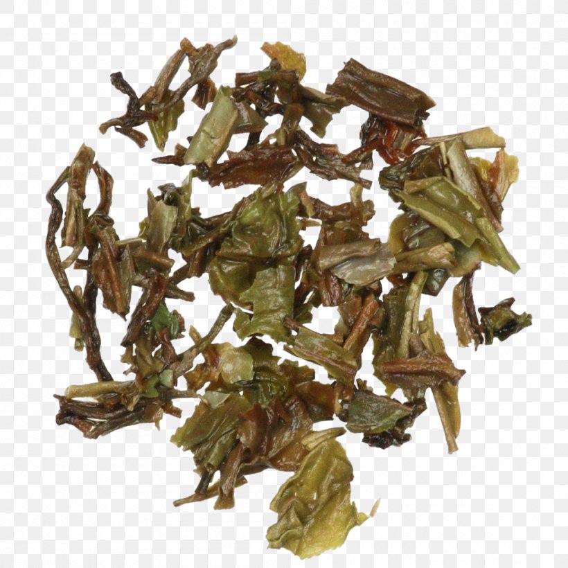 Nilgiri Tea Hōjicha Tea Plant, PNG, 1000x1000px, Nilgiri Tea, Bai Mudan, Bancha, Da Hong Pao, Darjeeling Tea Download Free