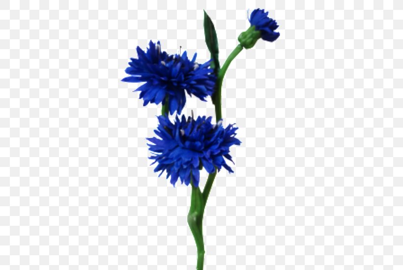 Plant Stem Blue Cut Flowers Artificial Flower, PNG, 440x550px, Plant Stem, Artificial Flower, Aster, Blue, Blue Flower Download Free