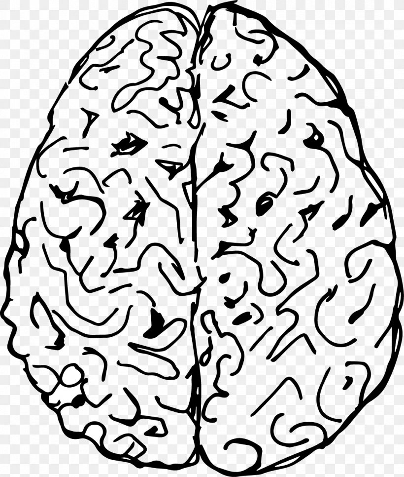Brain Drawing Cerebral Hemisphere, PNG, 1085x1279px, Watercolor, Cartoon, Flower, Frame, Heart Download Free