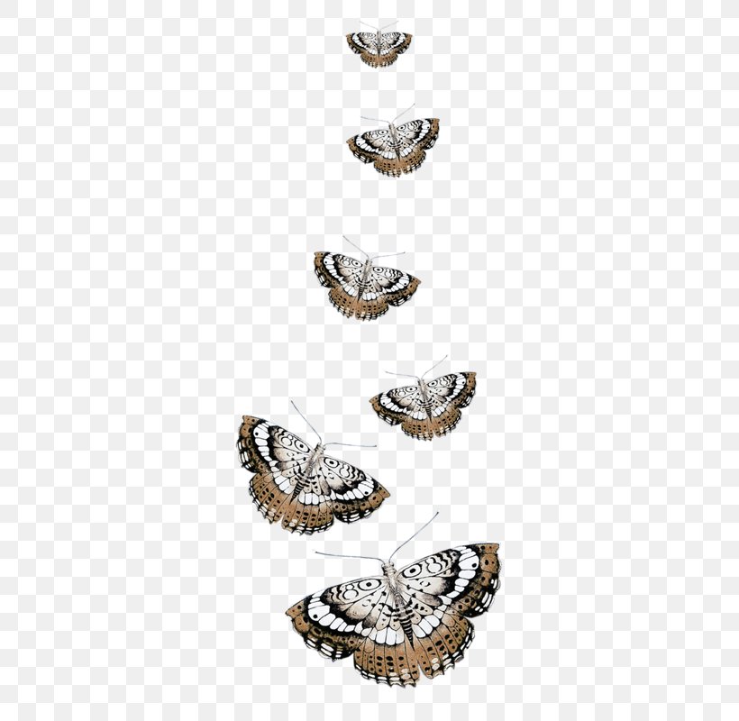 Butterfly Clip Art, PNG, 347x800px, Butterfly, Animal, Blog, Butterflies And Moths, Fashion Accessory Download Free