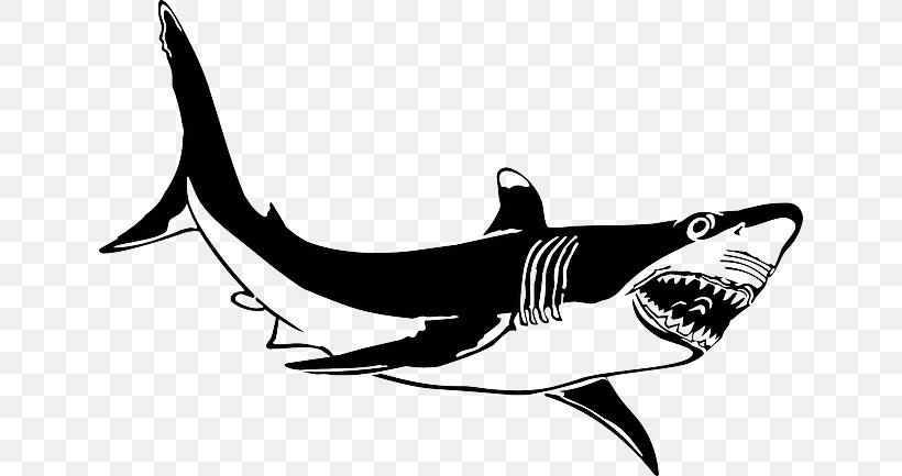 Great White Shark Lamniformes Tiger Shark Clip Art, PNG, 640x433px, Great White Shark, Automotive Design, Black And White, Bull Shark, Carcharodon Download Free