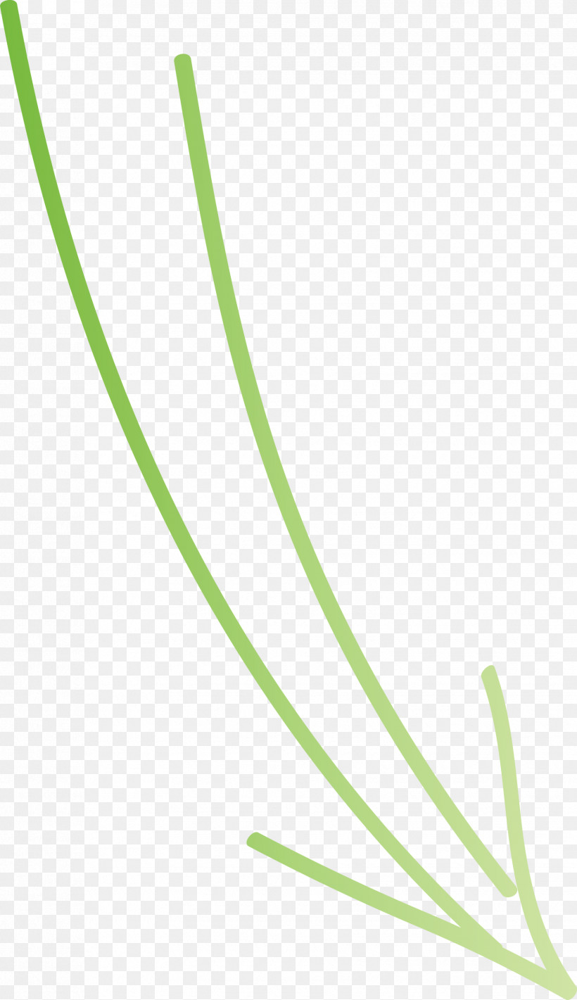 Hand Drawn Arrow, PNG, 1730x3000px, Hand Drawn Arrow, Chives, Grass, Grass Family, Green Download Free