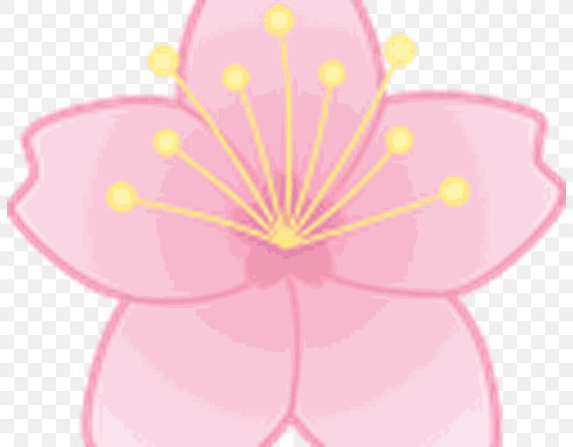 Pink M Flowering Plant Clip Art, PNG, 800x640px, Pink M, Flora, Flower, Flowering Plant, Magenta Download Free