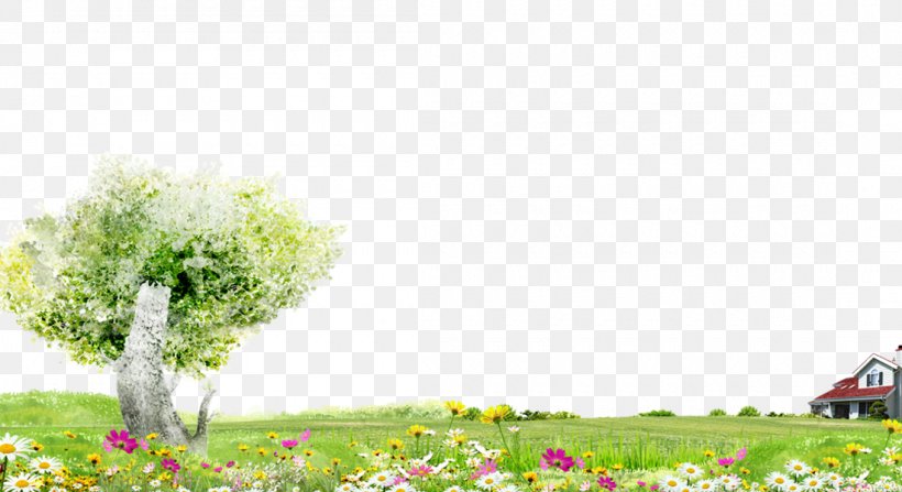 Trees And Flowers Green Grass Background Material, PNG, 1100x600px, South Korea, Advertising, Flora, Floral Design, Floristry Download Free