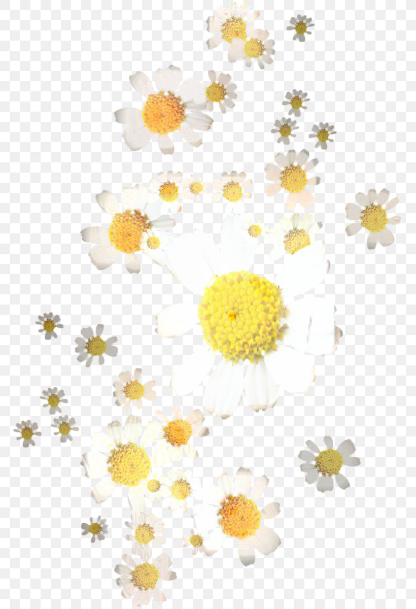Floral Flower Background, PNG, 780x1200px, Chrysanthemum, Camomile, Chamomile, Floral Design, Flower Download Free