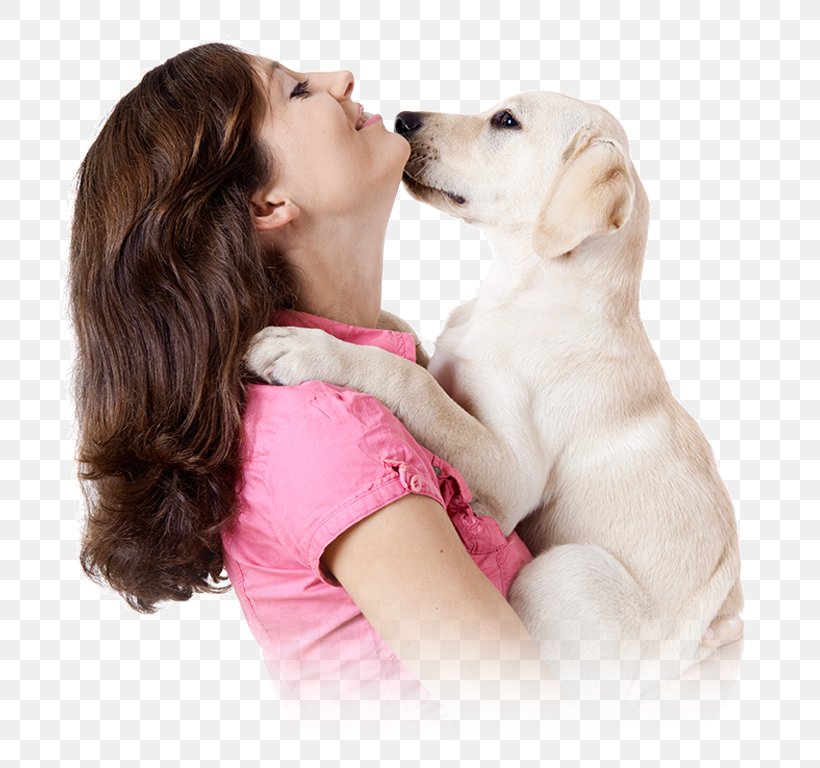 Dog Pet Shop Veterinarian Cat, PNG, 743x768px, Dog, Animal, Animal Shelter, Animal Welfare, Breeder Download Free