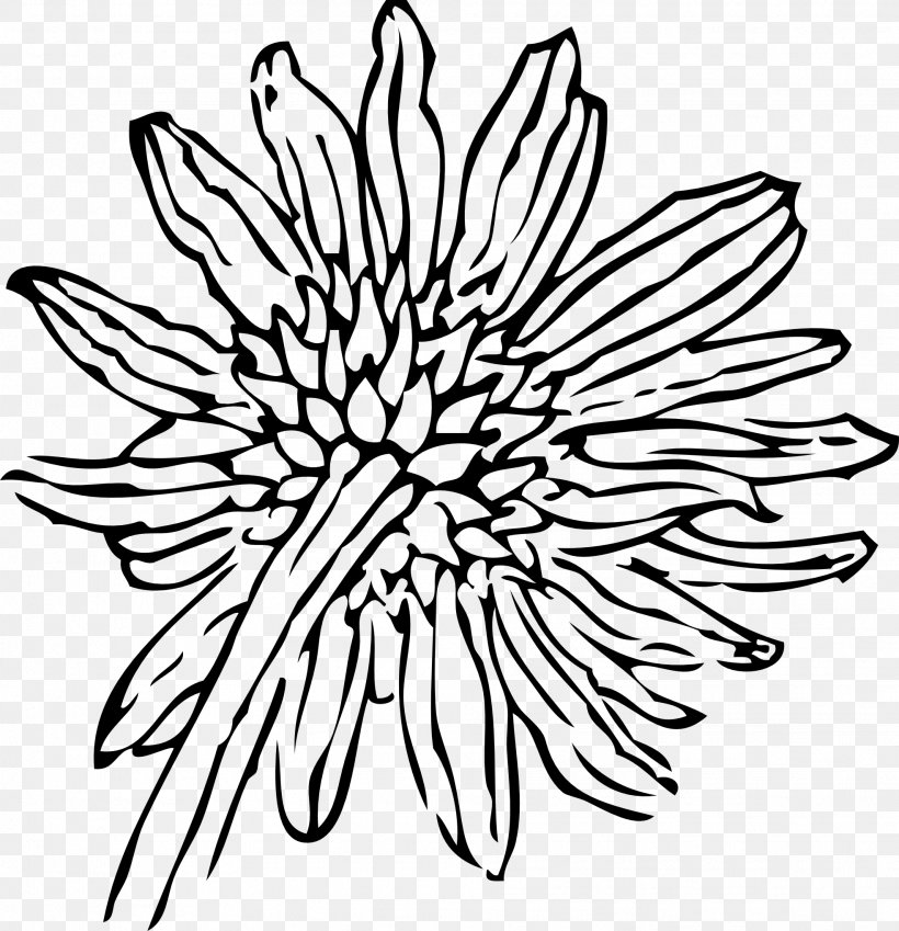 Drawing Download Clip Art, PNG, 1969x2040px, Drawing, Artwork, Black, Black And White, Chrysanths Download Free