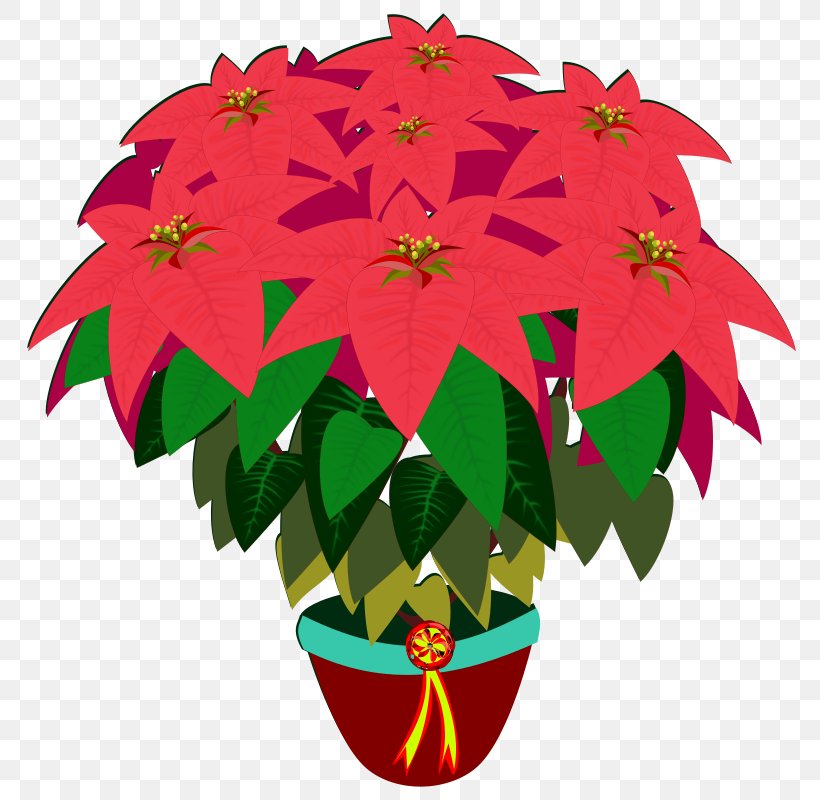 Flower Clip Art Poinsettia Image, PNG, 800x800px, Flower, Christmas, Christmas Day, Christmas Decoration, Christmas Ornament Download Free