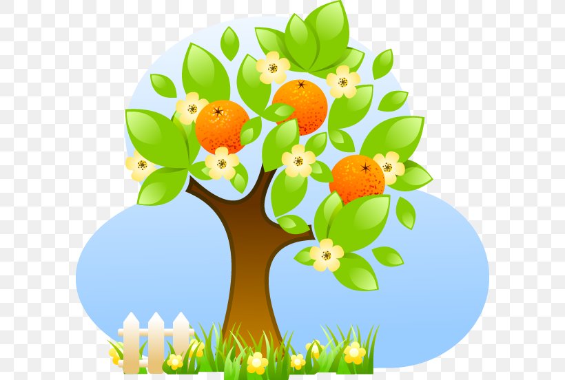 Fruit Tree Citrus Material, PNG, 600x552px, Fruit Tree, Branch, Citrus, Citrus Canker, Citrus Greening Disease Download Free