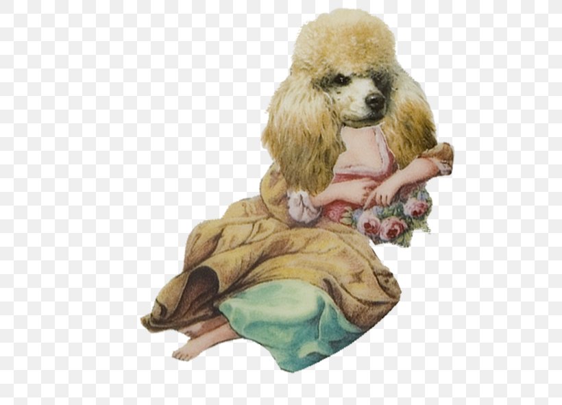 Poodle Puppy Dog Breed Companion Dog Non-sporting Group, PNG, 511x591px, Poodle, Breed, Carnivoran, Clothing, Companion Dog Download Free