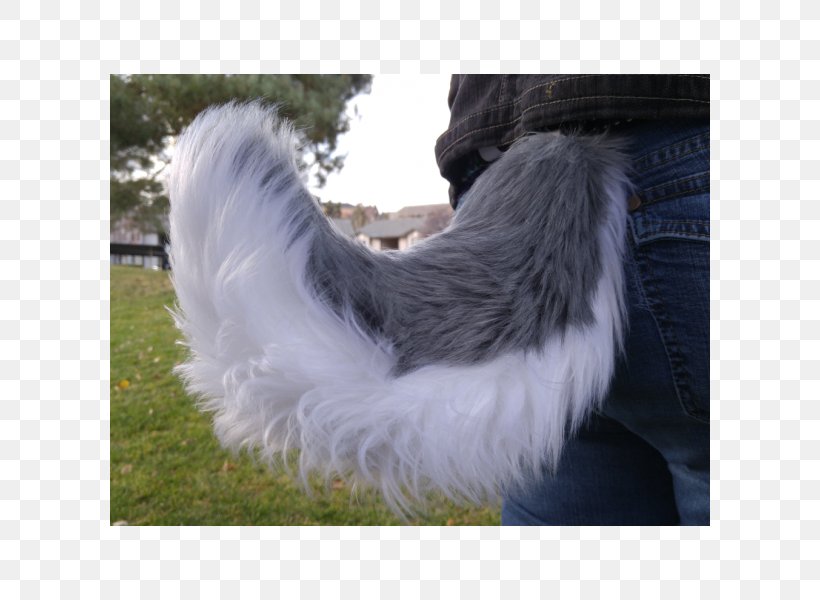 Siberian Husky Tail Cat Fox, PNG, 600x600px, Siberian Husky, Cat, Clothing, Cosplay, Costume Download Free