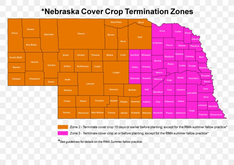 University Of Nebraska–Lincoln Cover Crop Rye No-till Farming, PNG, 1200x848px, Crop, Area, Bean, Brand, Corn Download Free