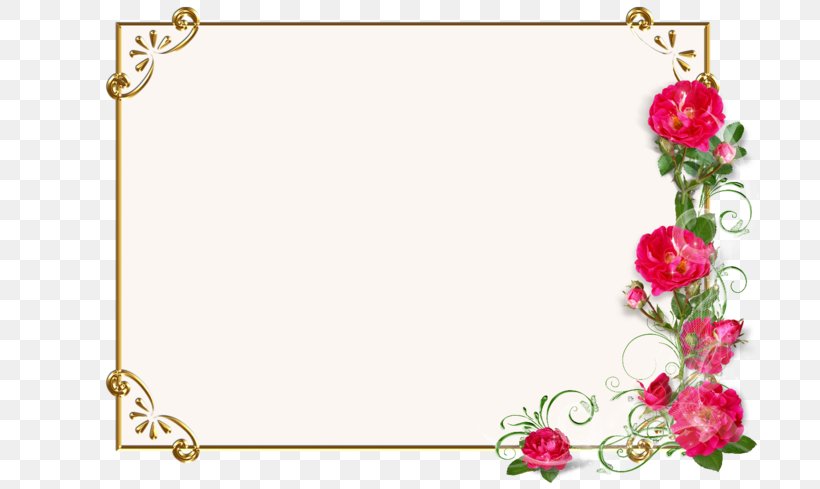 Flower Preservation Photography Picture Frames, PNG, 699x489px, Flower, Bicycle Frames, Body Jewelry, Border, Cut Flowers Download Free